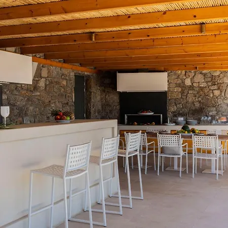 Majestic By D'angelo Villa Mykonos Town